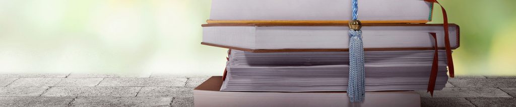 Evaluation Services