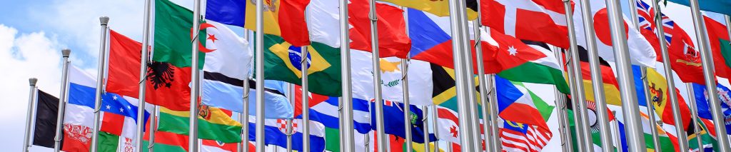 Translation Services